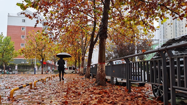 雨中周口，別有一番韻味